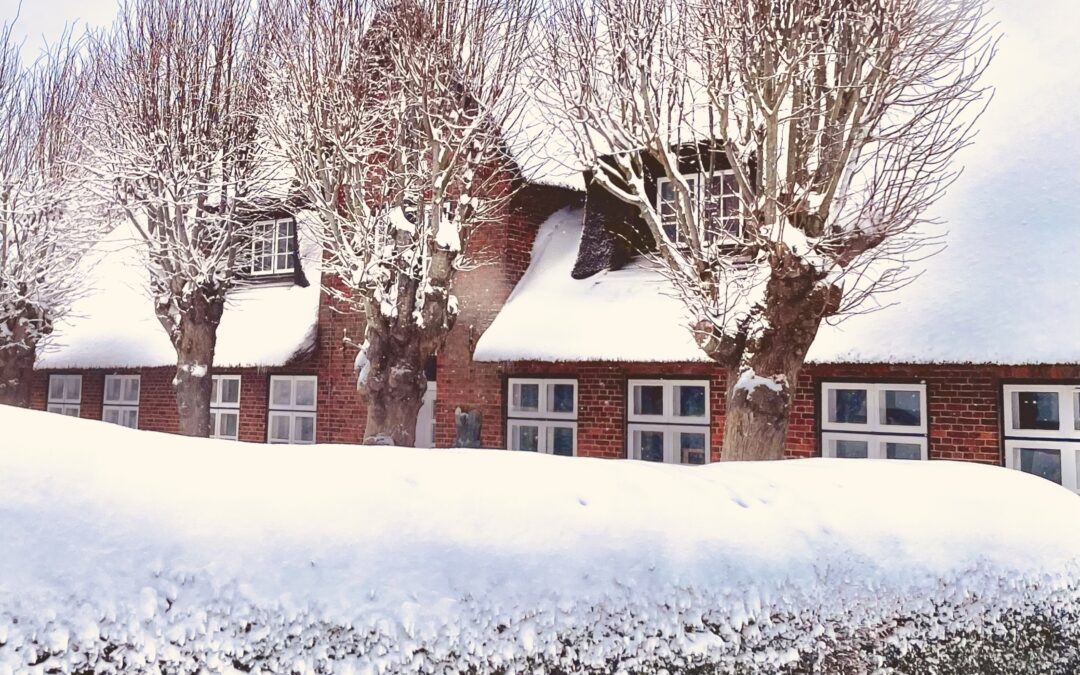 Herzliche Neujahrsgrüße